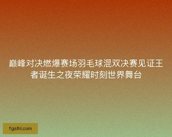 巅峰对决燃爆赛场羽毛球混双决赛见证王者诞生之夜荣耀时刻世界舞台
